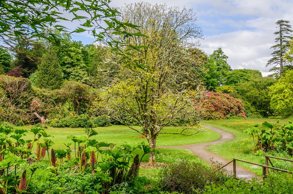 Florence Court - Parc