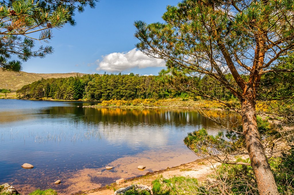 Glenveigh National Parc