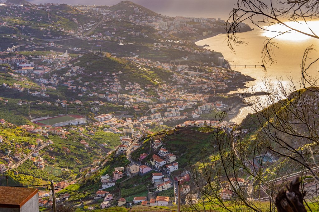 Visions of Madeira