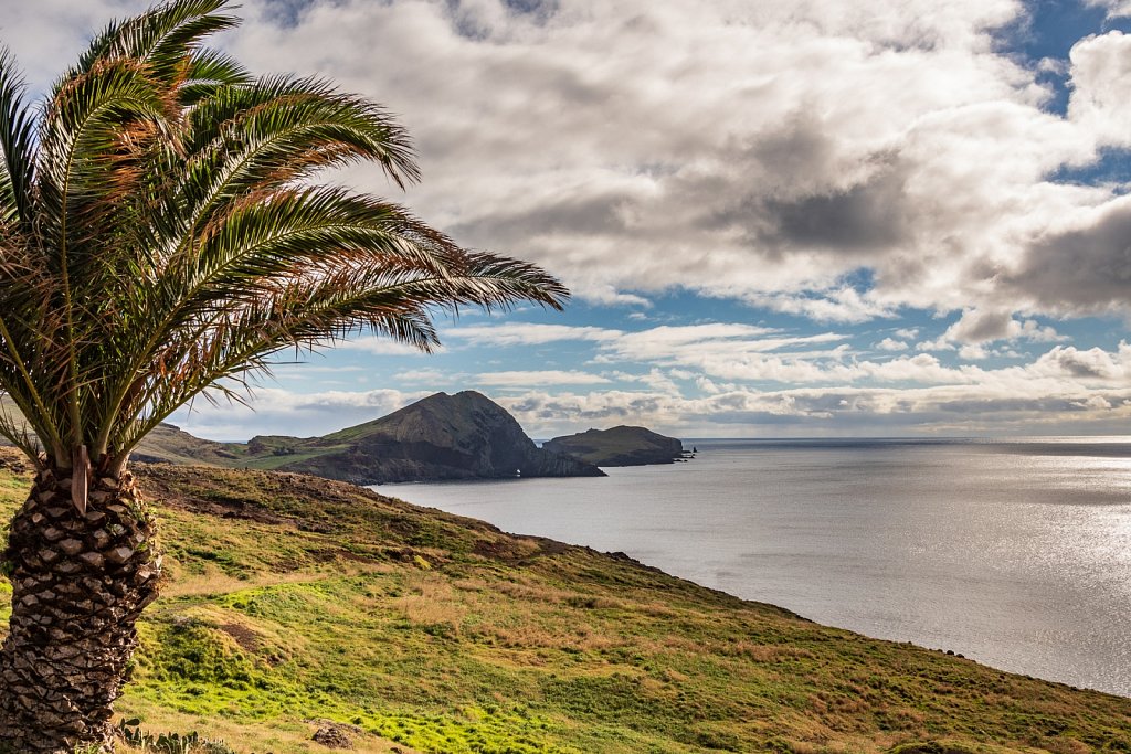 Visions of Madeira