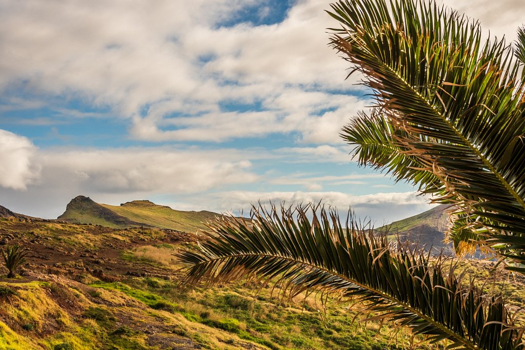 Visions of Madeira