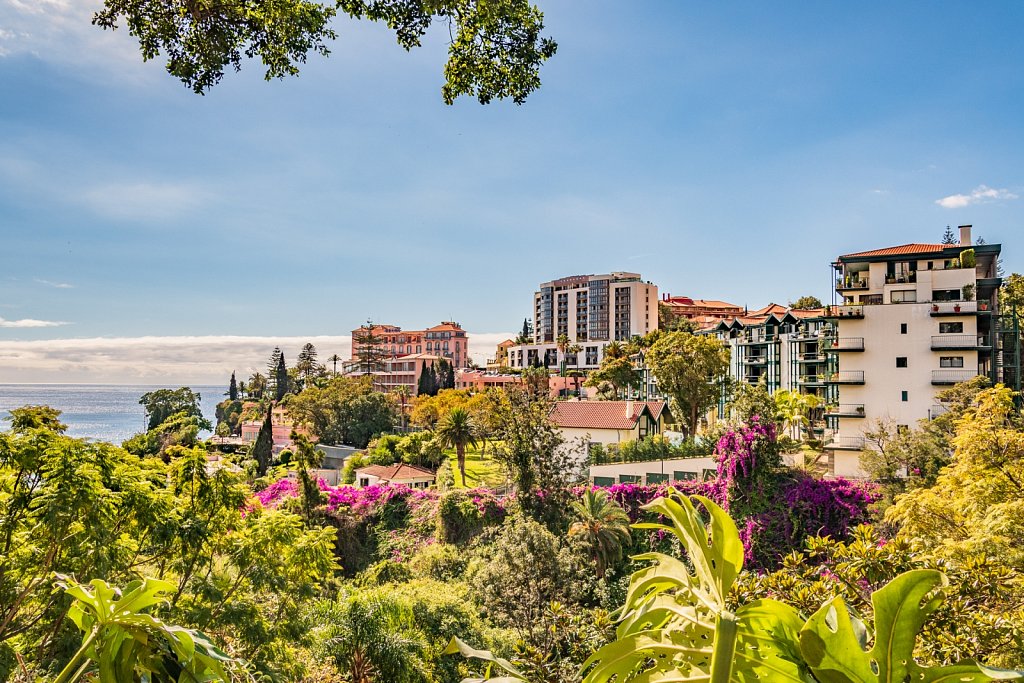 Visions of Madeira