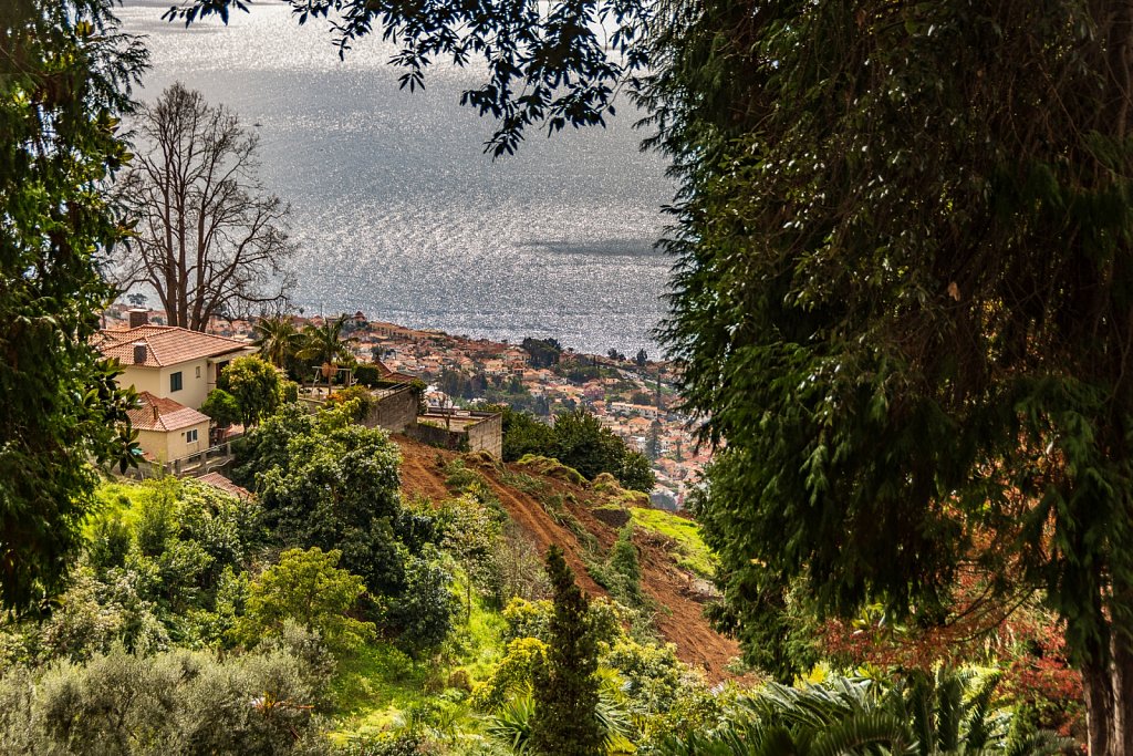 Visions of Madeira