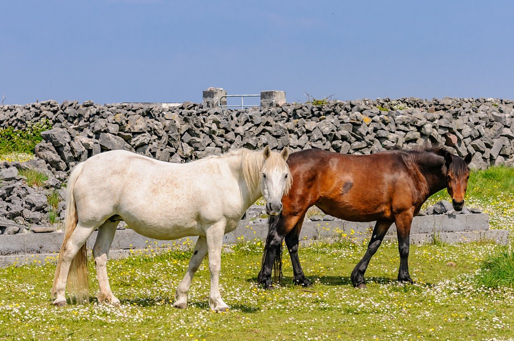 Inishmore